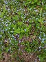 IMG_20200531_163208