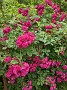 PXL_20210606_125343650