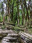 PXL_20210606_140657658