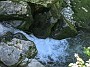 PXL_20210614_082948036