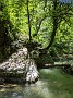 PXL_20210618_080830312