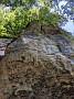 PXL_20210618_100242522