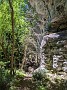 PXL_20210618_100353897