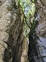 PXL_20210618_101103299
