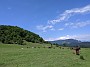 PXL_20210618_104809402