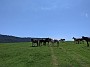 PXL_20210618_105537482