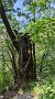 PXL_20210620_093314958