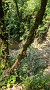 PXL_20210620_104242251
