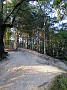 IMG_20210715_190659