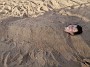 IMG_20210718_181440