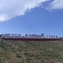 IMG_20210731_144733