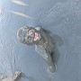 IMG_20210731_181626