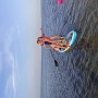 IMG_20210803_182519