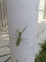 IMG_20210807_092401