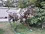 IMG_20210810_174529