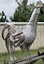 IMG_20210810_180307