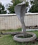 IMG_20210810_180500