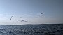 PXL_20210822_145252065
