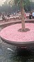 PXL_20210825_160830574