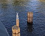 PXL_20210905_145534162