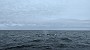 PXL_20211010_132909847