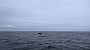 PXL_20211010_133623419