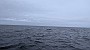 PXL_20211010_133633724