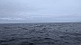 PXL_20211010_133636129
