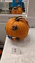 PXL_20211031_210241105
