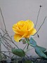 IMG_20210101_163156