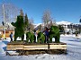 IMG_20210103_143431