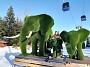IMG_20210103_144152