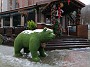IMG_20210115_104711
