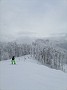 IMG_20210116_124358