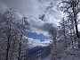 IMG_20210130_031457