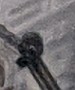 PXL_20211126_215731532~2