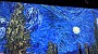 PXL_20211204_161034506
