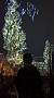 PXL_20211204_161059323