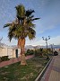 IMG_20210203_085758