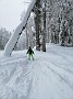 IMG_20210214_124311