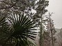 IMG_20210216_064917