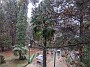 IMG_20210216_064938