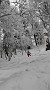 IMG_20210217_141136