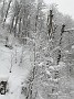 IMG_20210217_152400