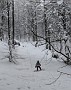 IMG_20210219_141455