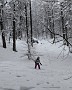 IMG_20210219_141457