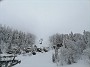 IMG_20210226_122607