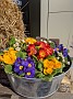 IMG_20210310_054659