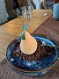 IMG_20210316_073549