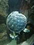 IMG_20210321_162744